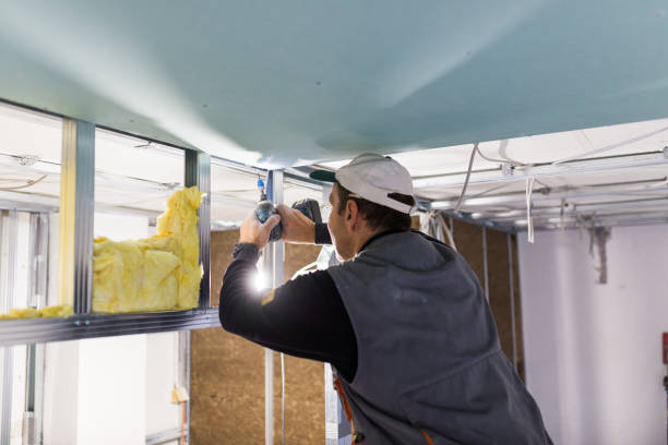 Best Energy Efficiency Insulation in Miami Shores, FL