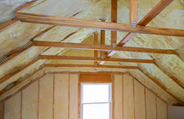 Best Insulation Maintenance and Repair in Miami Shores, FL