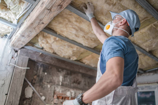 Best Specialized Insulation Services in Miami Shores, FL