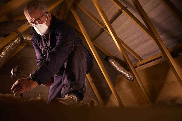 Best Geographic-Specific Insulation Services in Miami Shores, FL