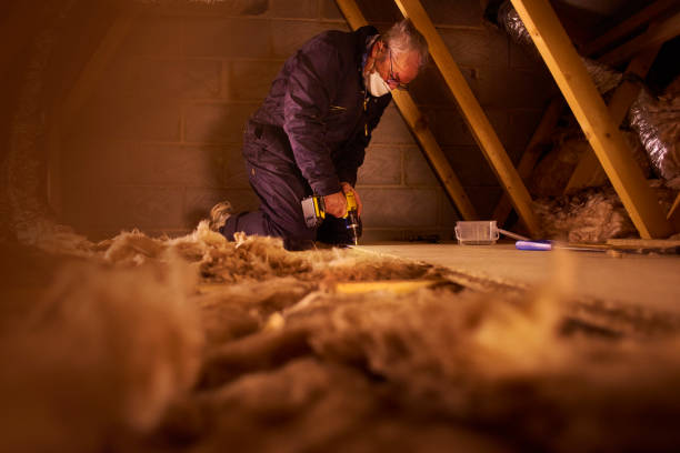Best Eco-Friendly Insulation in Miami Shores, FL